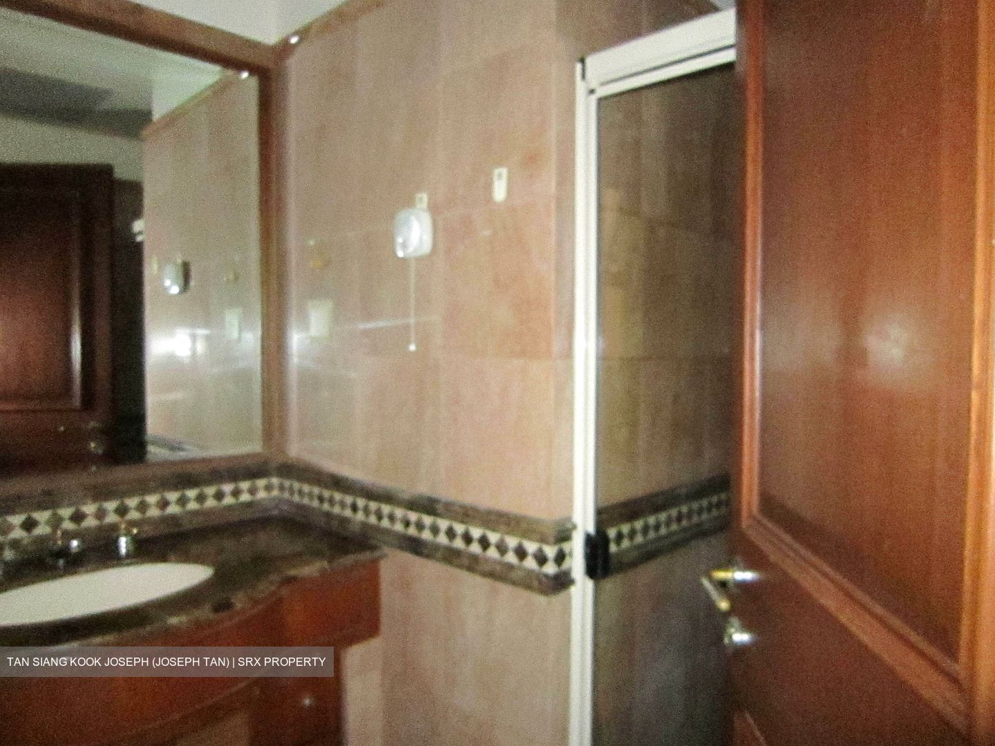 Dover Parkview (D5), Condominium #624578301